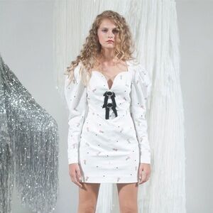 MARIANNA SENCHINA
 Kiev Spring 2019 Fashion Show Mini Dress in Sz L